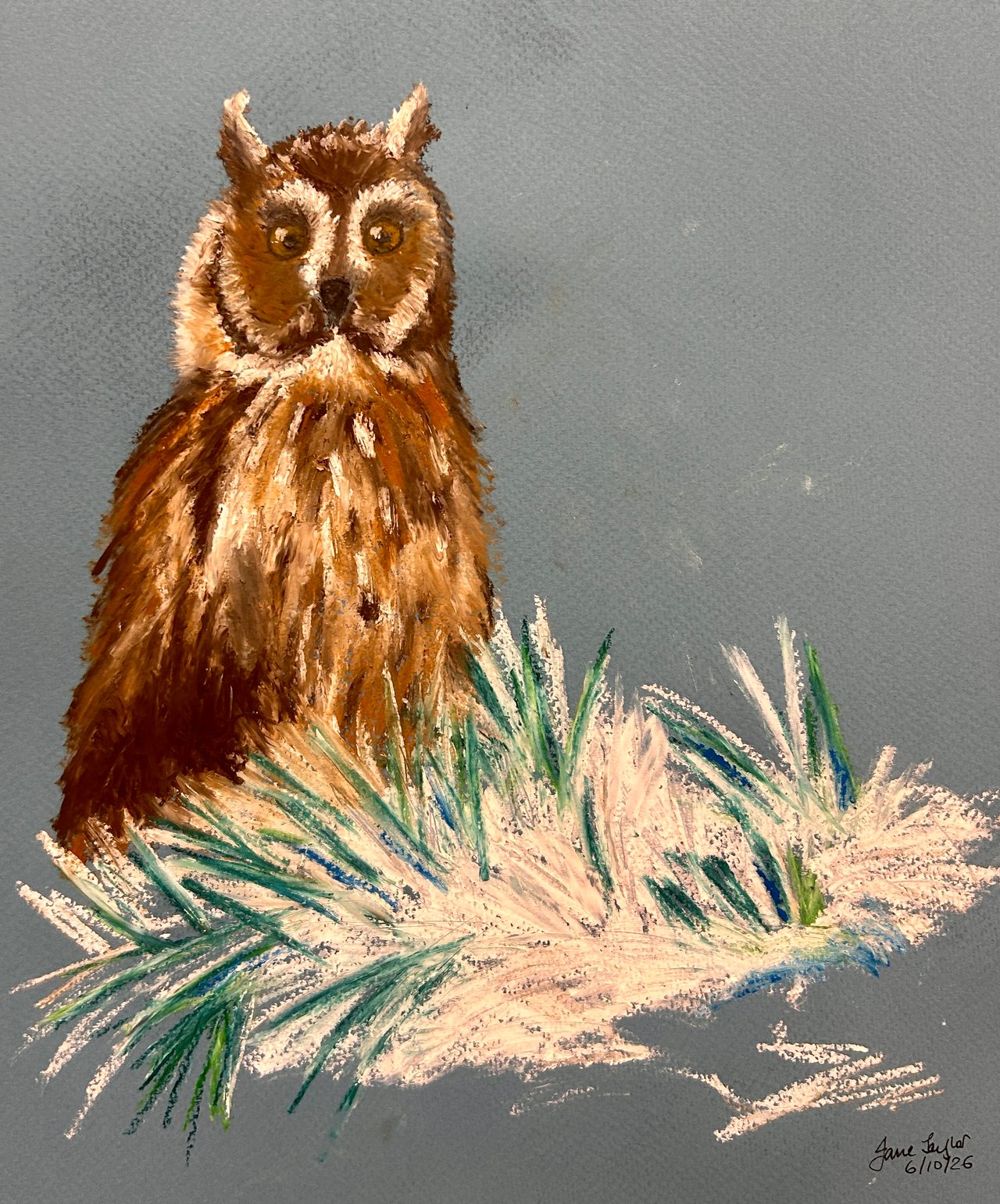Still and Snowy Countryside — class photo