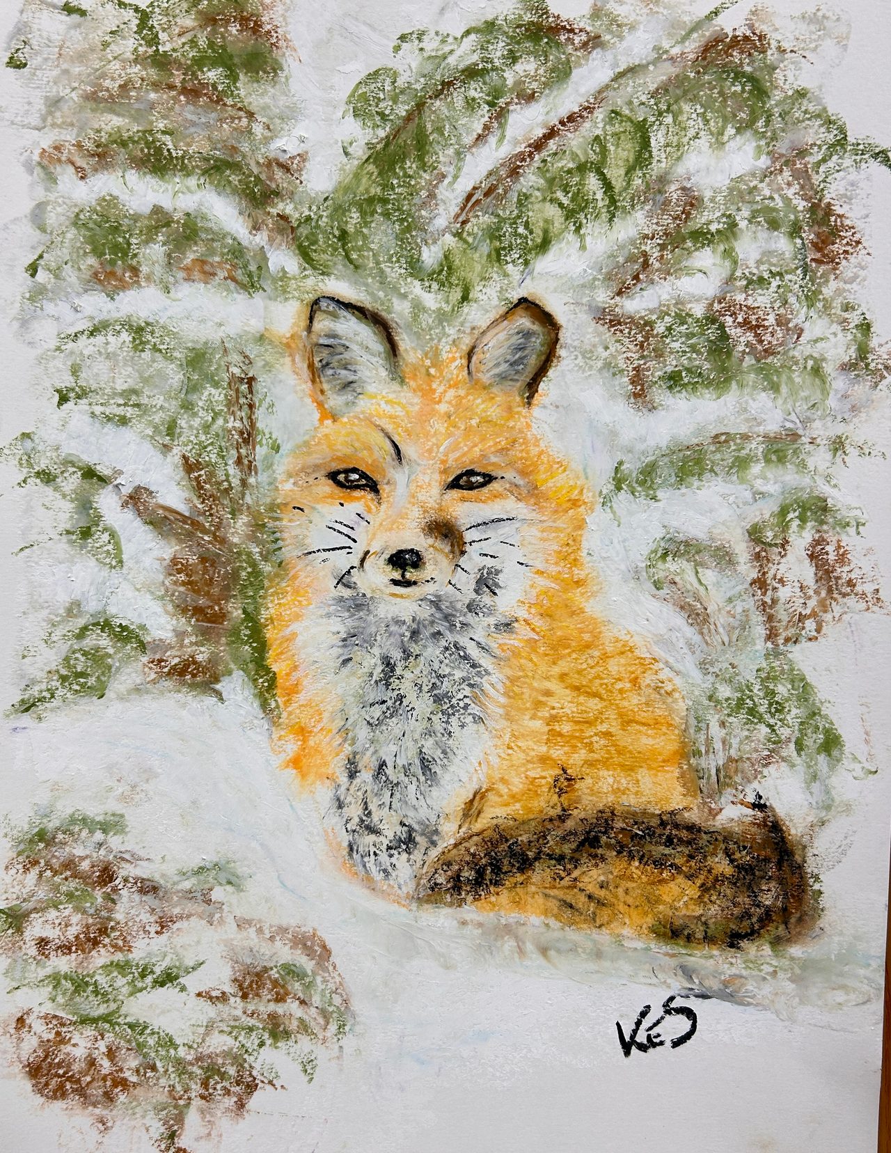 Still and Snowy Countryside — class photo